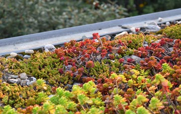 the cost of Walden Stubbs green roof installation