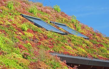 Walden Stubbs living roof systems