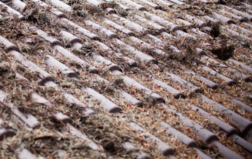 Walden Stubbs roof cleaning companies