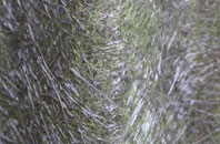 Walden Stubbs fibreglass roof work